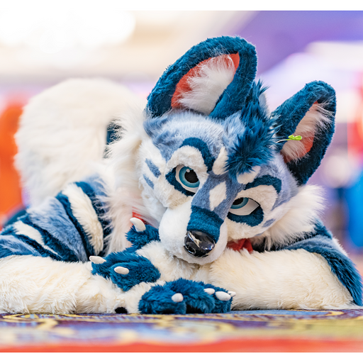 RykerHusky